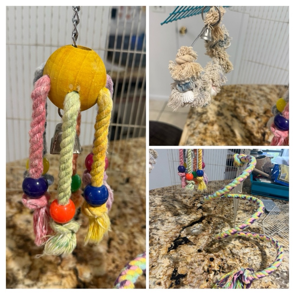 Caitec Featherland Paradise Arachnid Bird Toy, Chew toy Beak health
